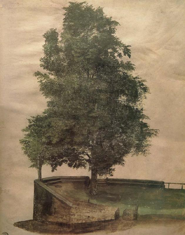 Albrecht Durer Linden Tree on a Bastion Germany oil painting art